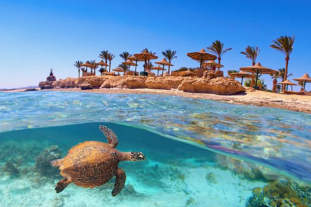 Egypt